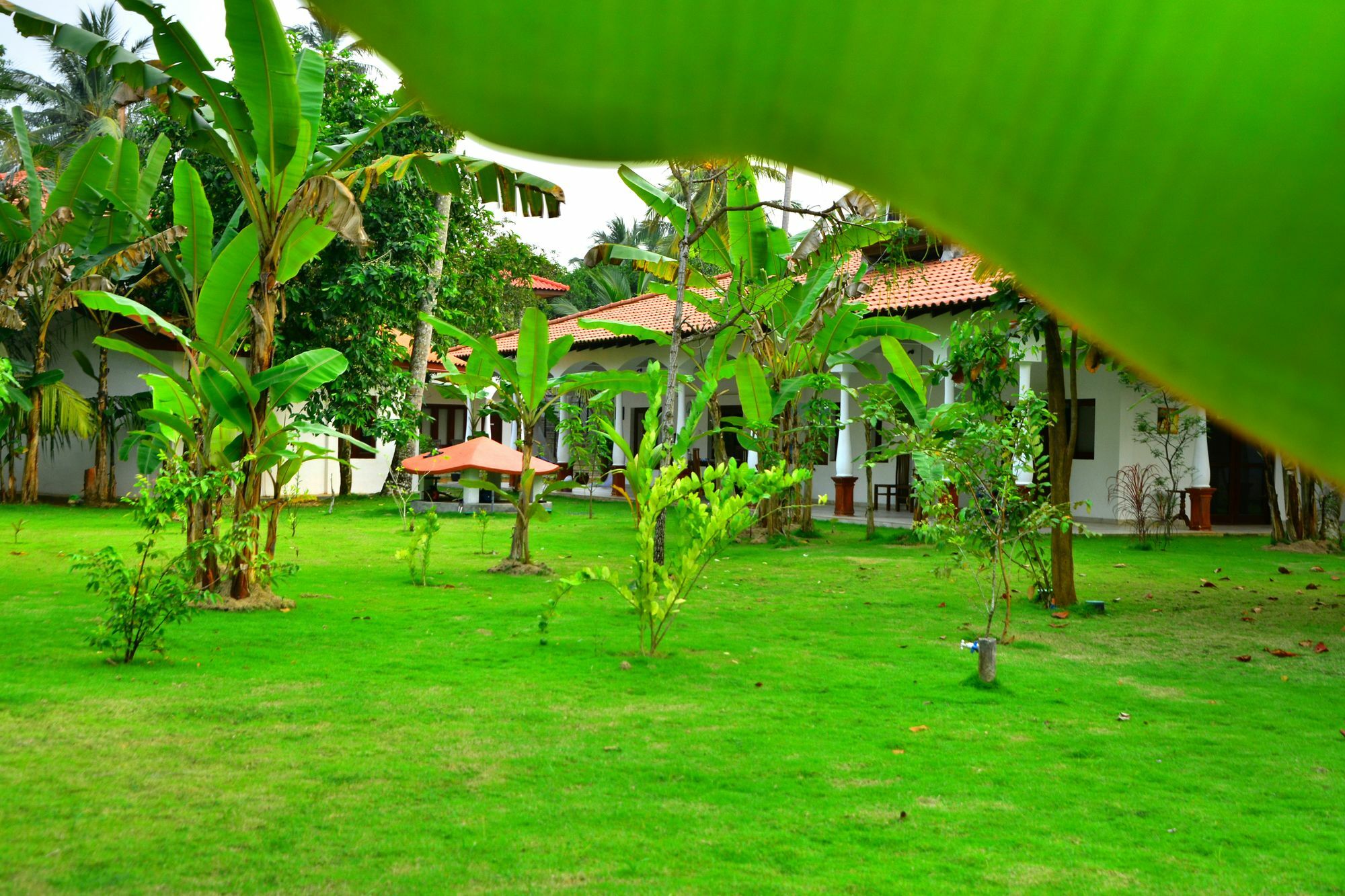 Hotel Lucas Kosgoda Exterior foto